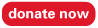donate now
